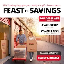 Sentinel Storage - Nisku (Satellite) Promotion